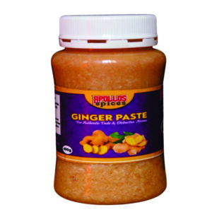 Pure garlic paste front apollos spices